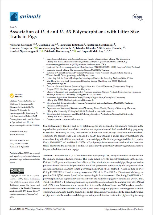 Association of IL-4 and IL-4R Polymorphisms with Litter Size Traits in Pigs