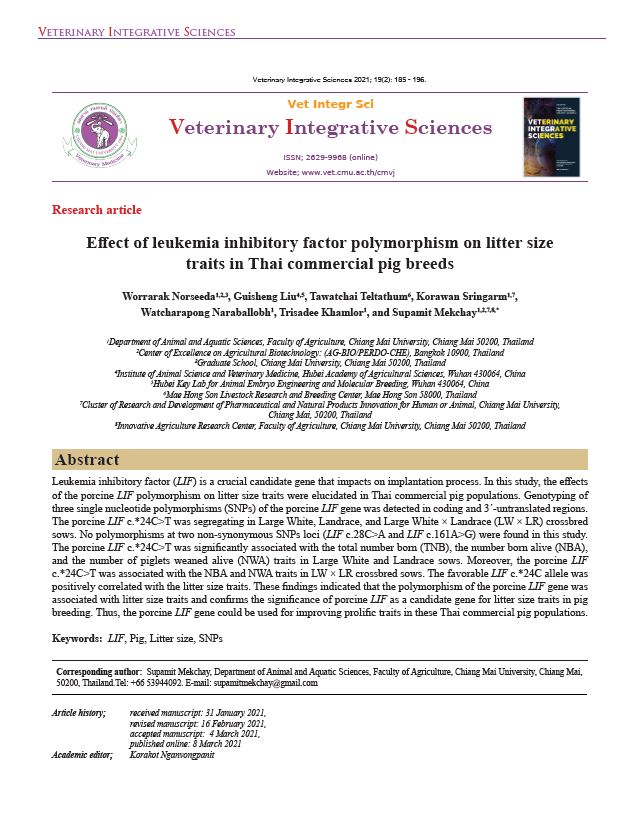 Effect of leukemia inhibitory factor polymorphism on litter size traits in Thai commercial pig breeds