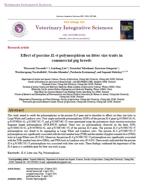 Effect of porcine IL-6 polymorphism on litter size traits in commercial pig breeds