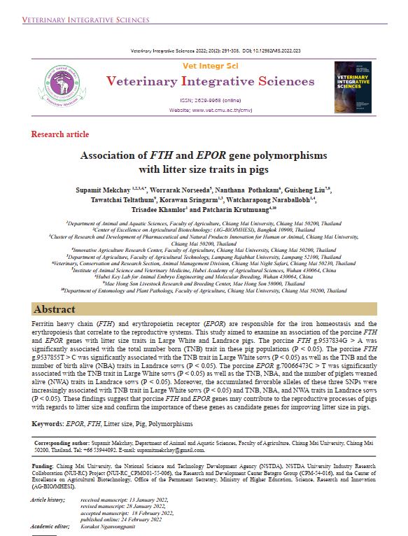 Association of IFNA16 and TNFRSF19 Polymorphisms with Intramuscular Fat Content and Fatty Acid Composition in Pigs