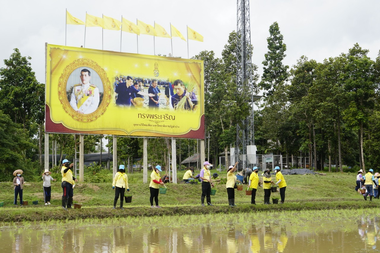 นักศึกษาคณะเทคโนโลยีการเกษตร มร.ลป เข้าร่วมกิจกรรม &amp;quot;ปลูกข้าวอินทรีย์&amp;quot; 