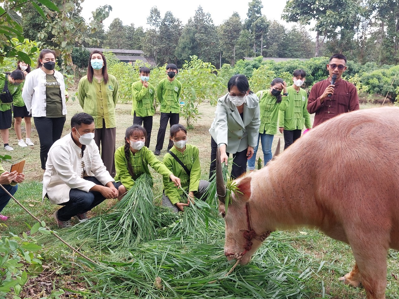 กิจกรรมขวัญข้าว ขวัญควาย ประจำปีการศึกษา 2565